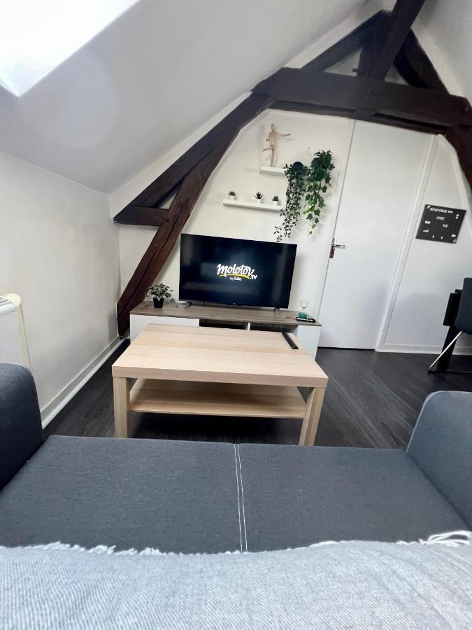 Bel Appartement Lumineux 35M2, Bord De Loire Saint-Jean-le-Blanc Buitenkant foto