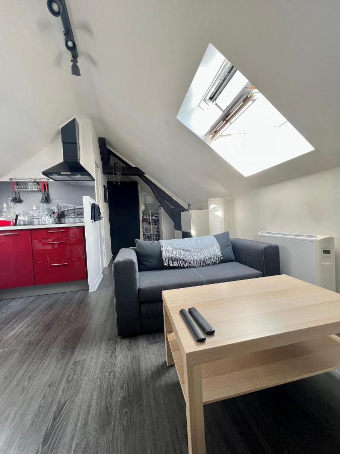 Bel Appartement Lumineux 35M2, Bord De Loire Saint-Jean-le-Blanc Buitenkant foto