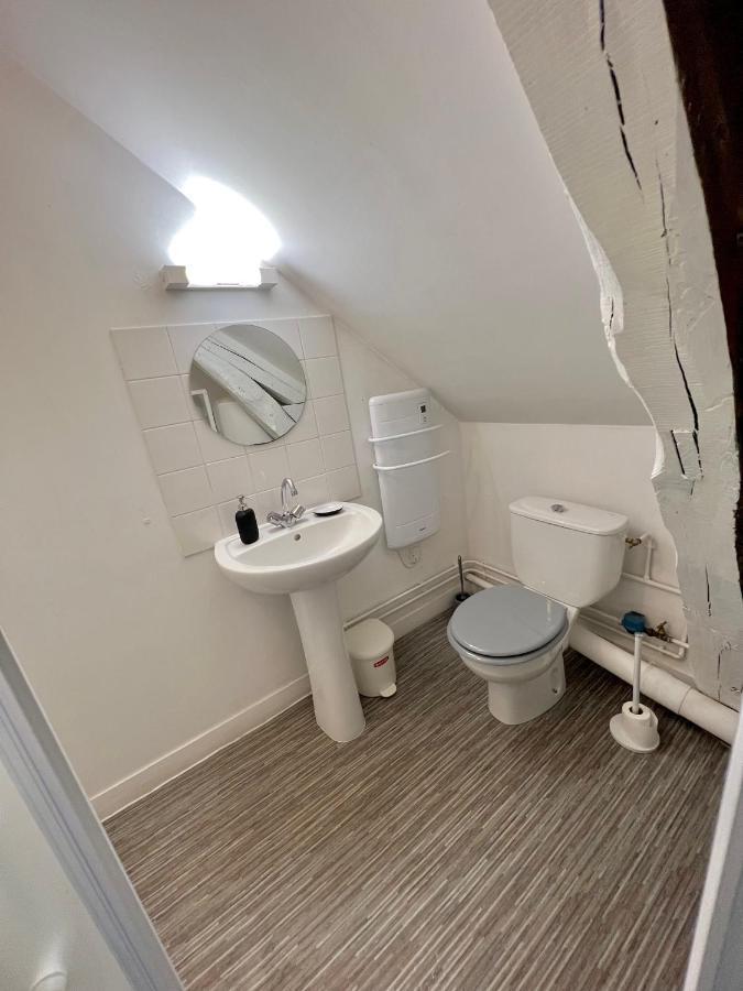 Bel Appartement Lumineux 35M2, Bord De Loire Saint-Jean-le-Blanc Buitenkant foto