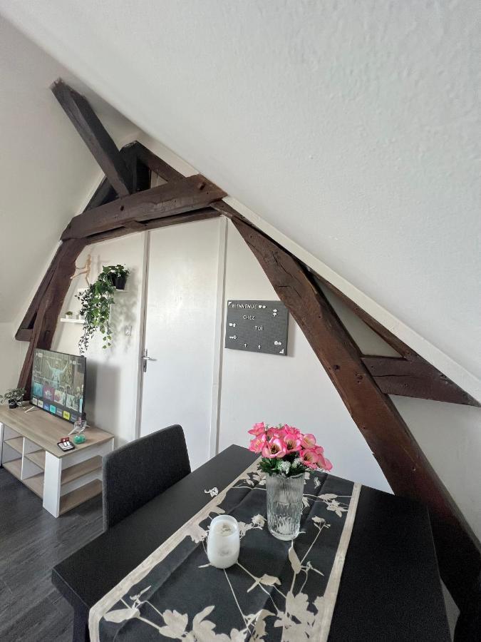 Bel Appartement Lumineux 35M2, Bord De Loire Saint-Jean-le-Blanc Buitenkant foto