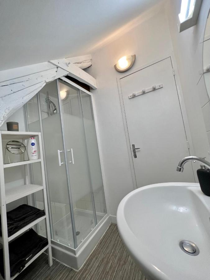 Bel Appartement Lumineux 35M2, Bord De Loire Saint-Jean-le-Blanc Buitenkant foto