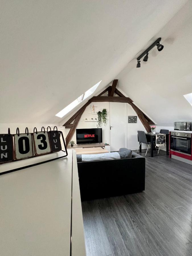 Bel Appartement Lumineux 35M2, Bord De Loire Saint-Jean-le-Blanc Buitenkant foto