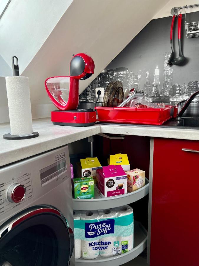 Bel Appartement Lumineux 35M2, Bord De Loire Saint-Jean-le-Blanc Buitenkant foto