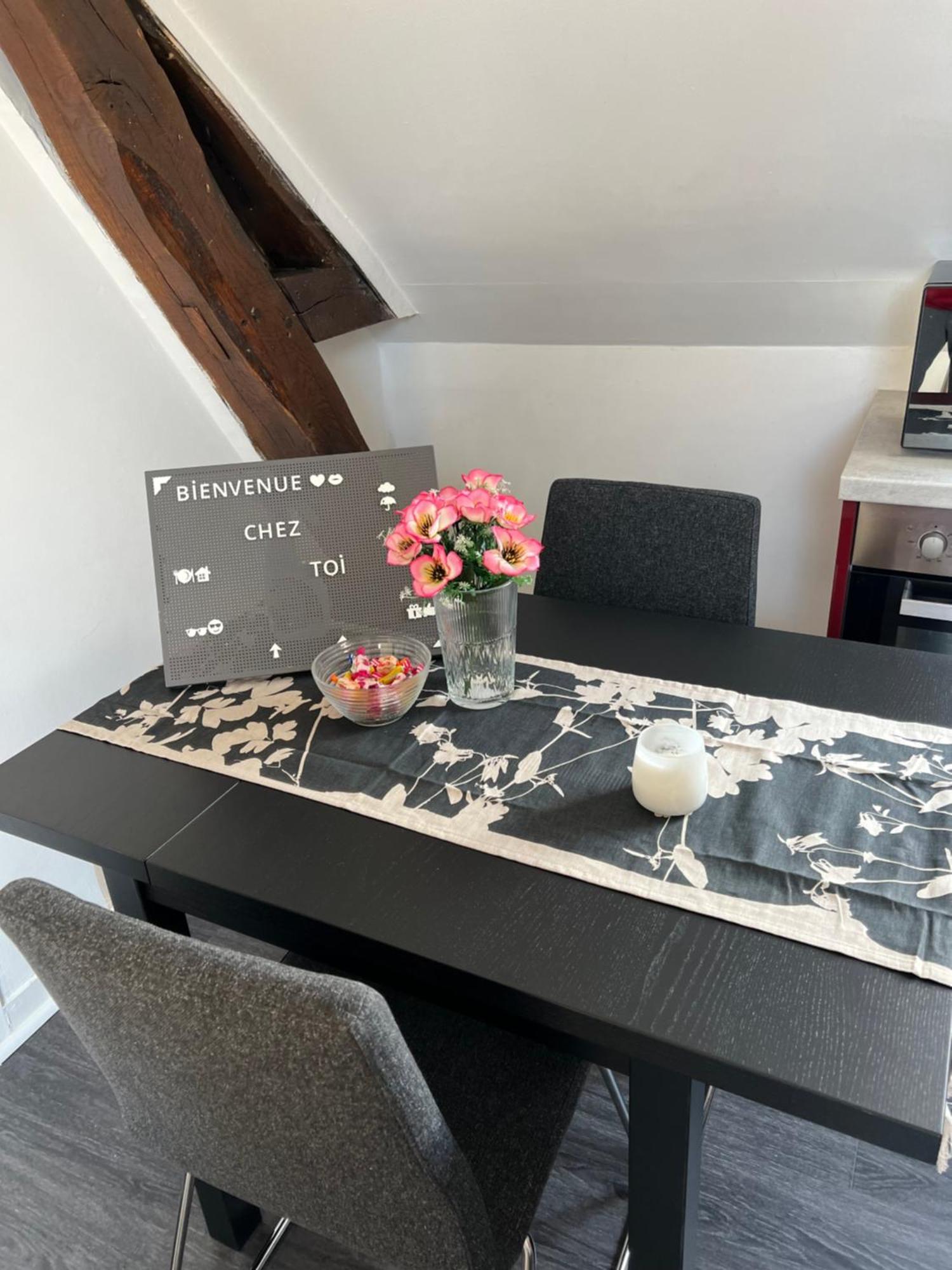 Bel Appartement Lumineux 35M2, Bord De Loire Saint-Jean-le-Blanc Buitenkant foto